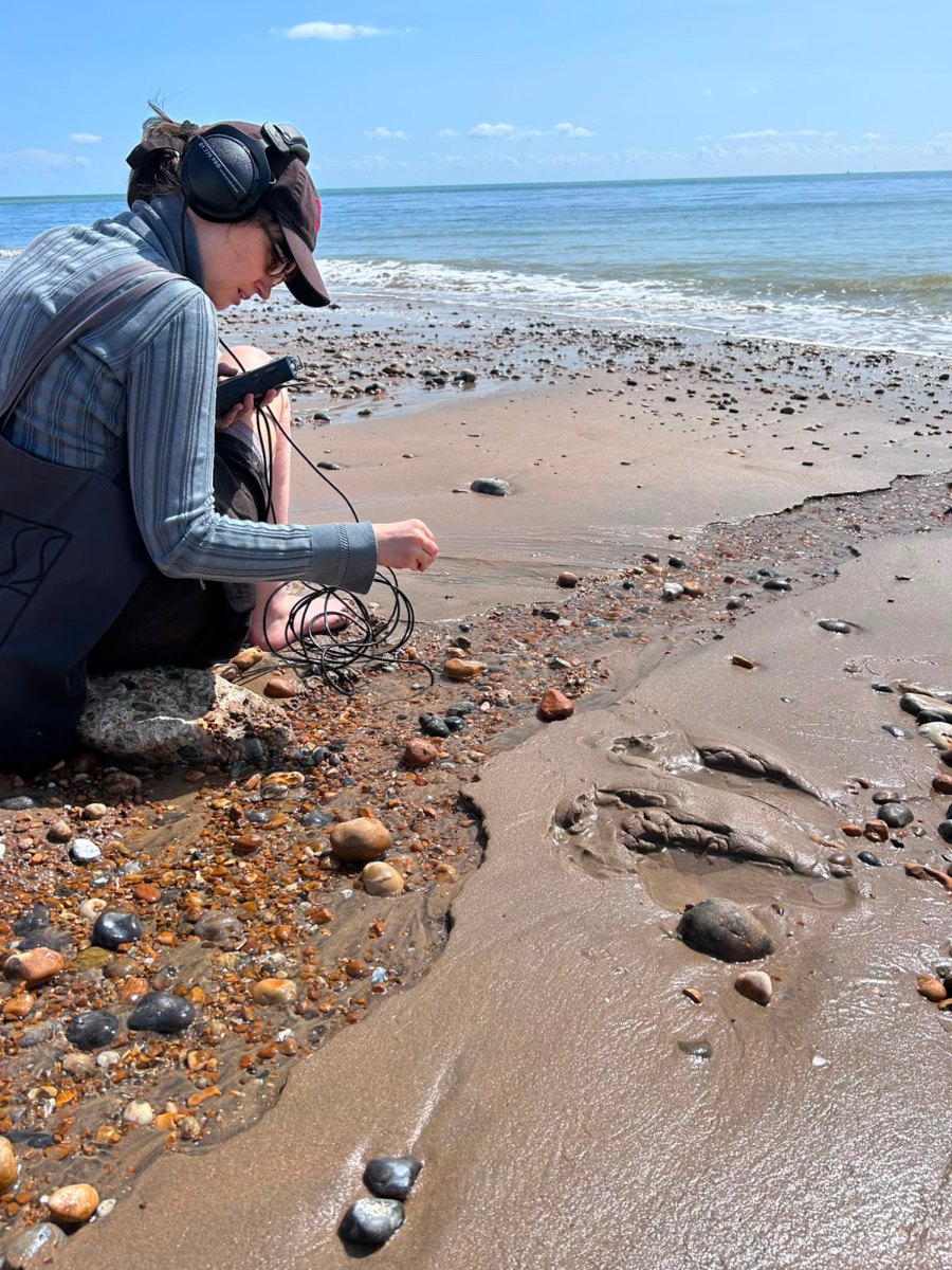 A hydrophone held close to pebbles at the water’s edge.