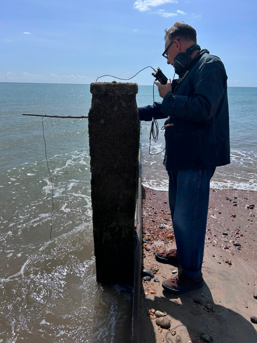 A participant recording beside a wooden groyne on the beach.
